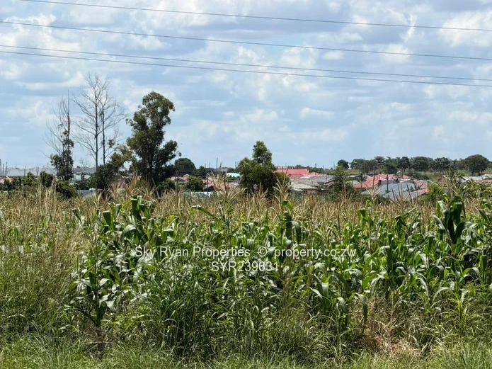 Beatrice Service Station Land For Sale 