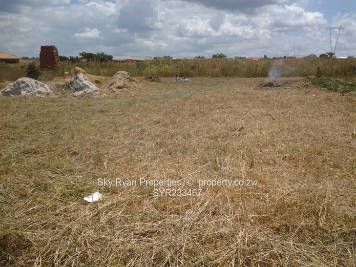 Damofalls Stand For Sale