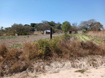 Farm & Agricultural Land