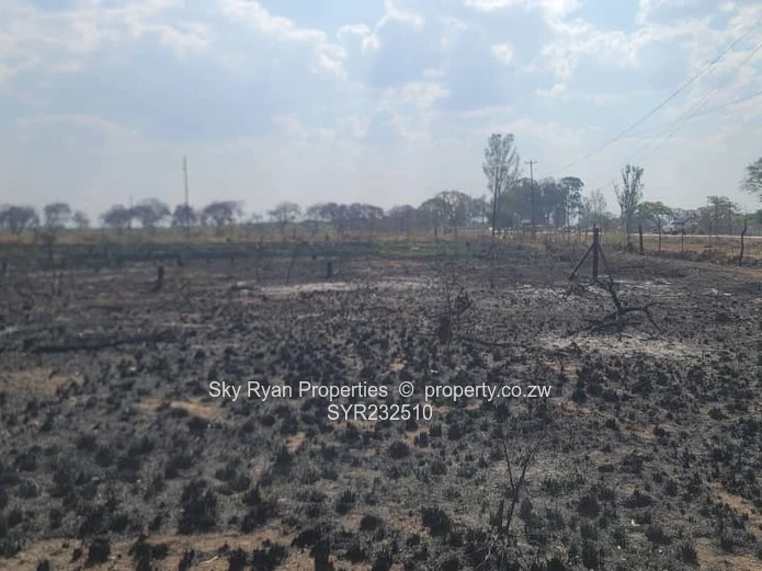 Daylesford, Gweru Stands For Sale