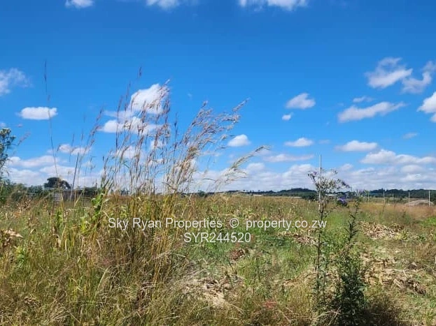 Spitzkop Stands For Sale