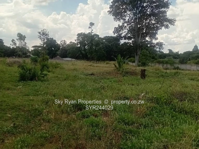 Hatfield Stand For Sale