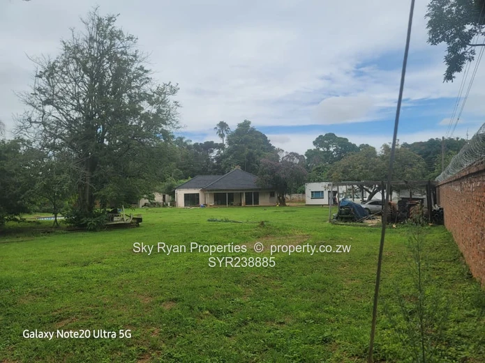 BORROWDALE  - SAM LEVY for sale 