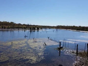 Farm & Agricultural Land