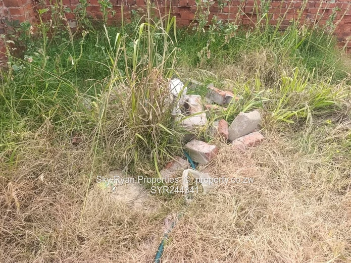 Madokero Tynwald North Stand For Sale 