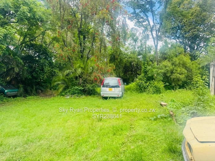 Highlands Cluster Stands For Sale