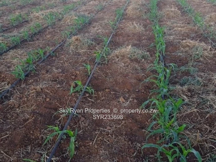 Bulawayo Waterford Land  For Sale 