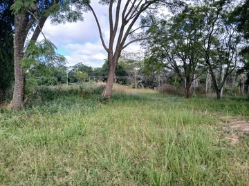 Land