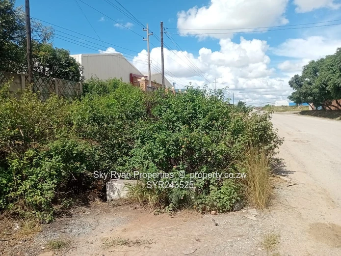 Msasa Industrial Stand For Sale