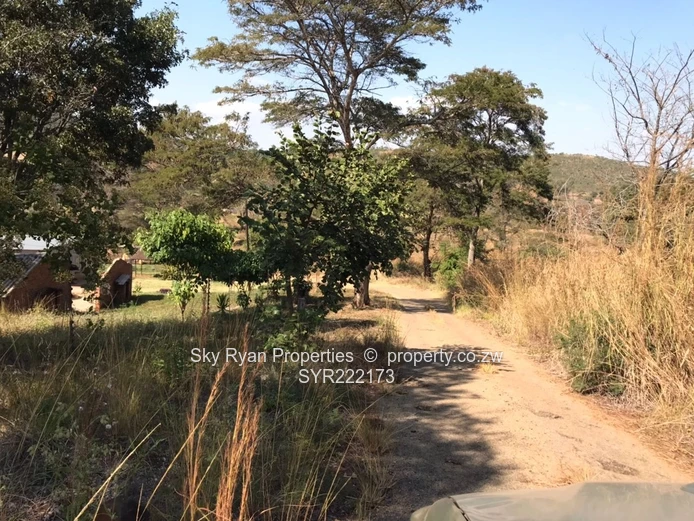 Arcturus plot for sale!*