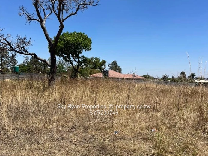 Hatfield Stand For Sale (Sole Mandate)