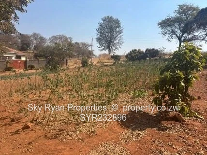 Tynwald Stand For Sale 