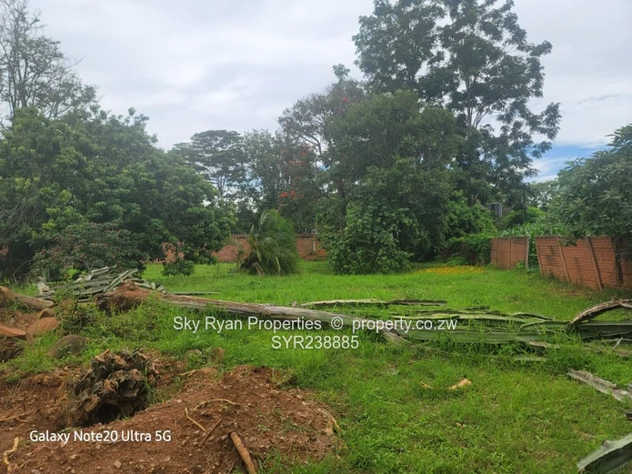 BORROWDALE  - SAM LEVY for sale 