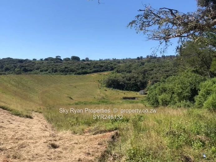 Bangazani Estate, Chipinge