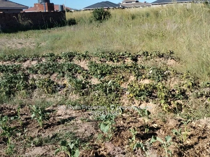 Ruwa Rockview Stand For Sale 