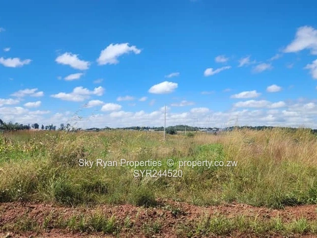 Spitzkop Stands For Sale