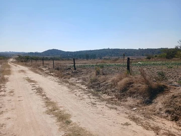 Farm & Agricultural Land