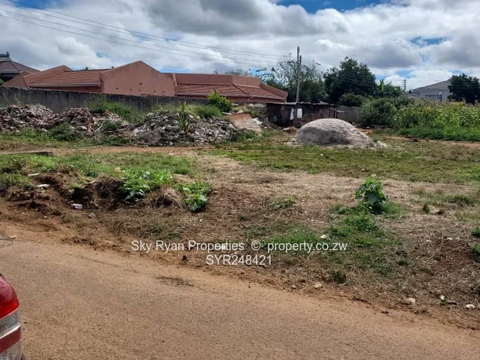Mt Pleasant Heights Stand  For Sale