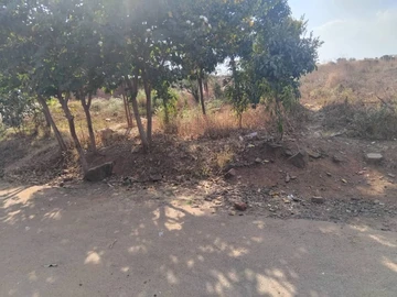 Commercial & Industrial Land