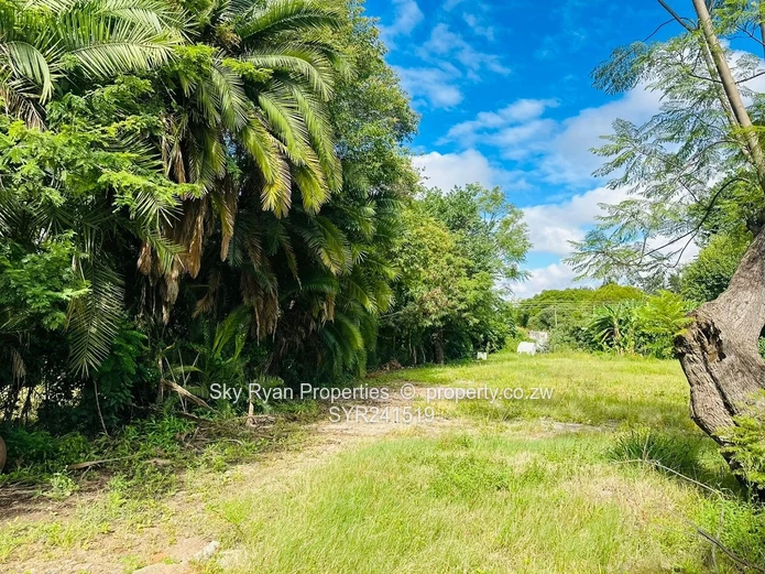 Avondale Stand For Sale