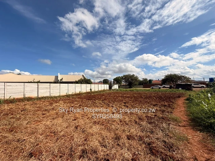Westgate Stands For Sale- Choice Of 3 
