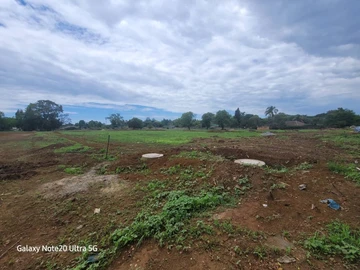 Stands & Residential Land