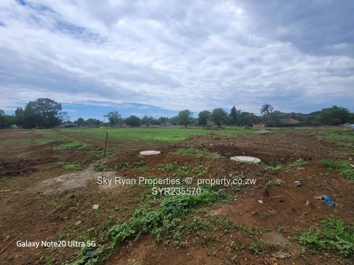 Marlborough Adlyn Stands For Sale