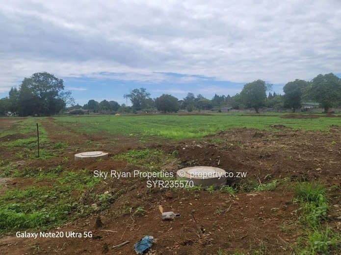 Marlborough Adlyn Stands For Sale