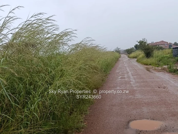 Mt Pleasant Heights Stand  For Sale