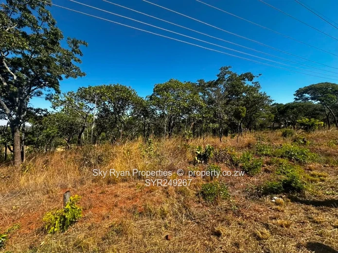 Shawasha Hills Stand For Sale