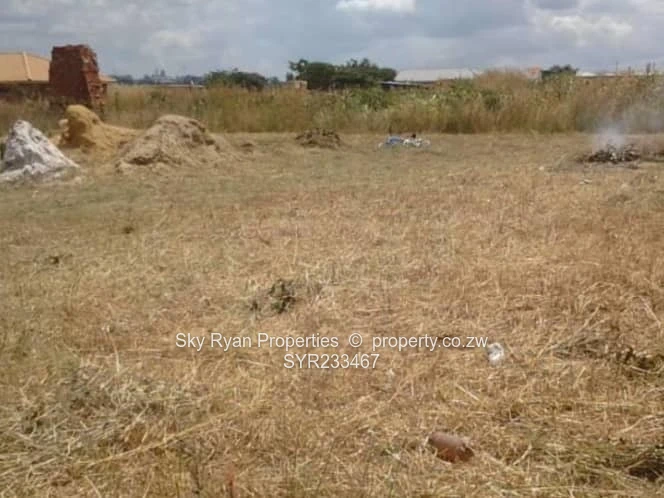 Damofalls Stand For Sale