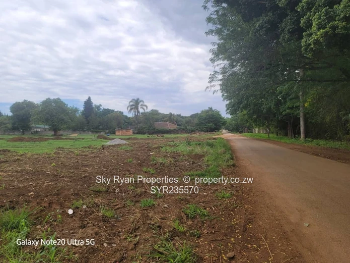 Marlborough Adlyn Stands For Sale