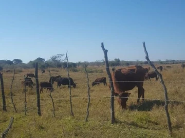 Farm & Agricultural Land