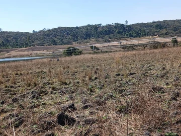 Farm & Agricultural Land
