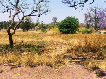 Commercial & Industrial Land