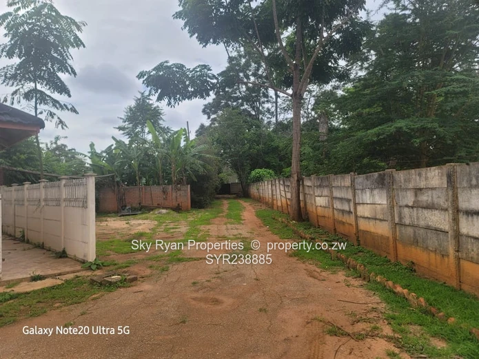 BORROWDALE  - SAM LEVY for sale 