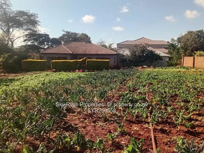 SHAWASHA HILLS 3-Bed Cottage FOR SALE 