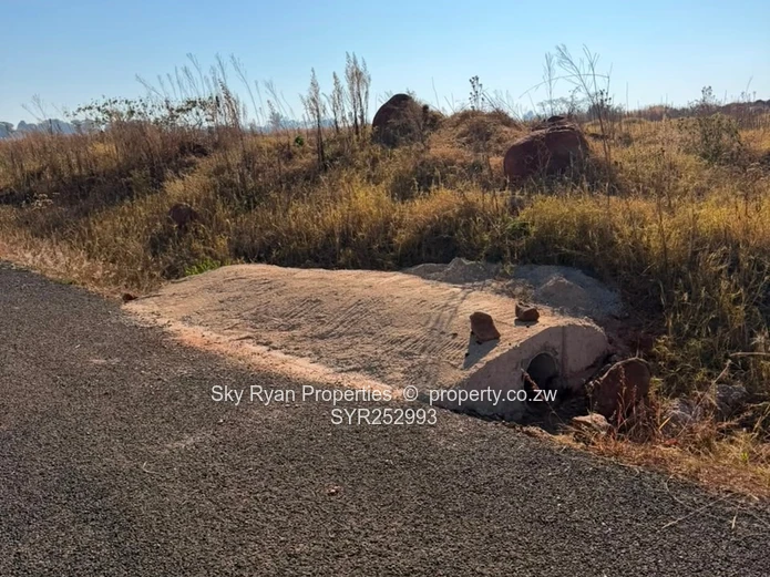 Nyeredzi Ridge Pomona Stand For Sale