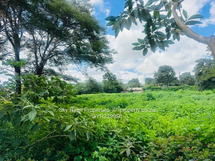 Mandara Land For Sale