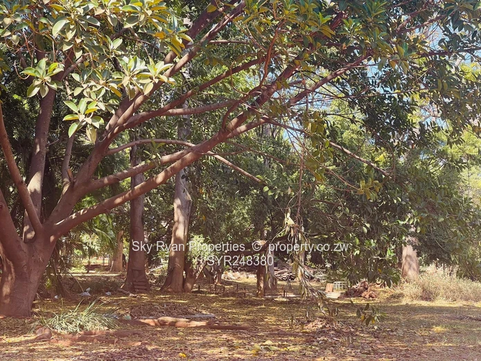 Hicc Cbd Commercial Land For Sale