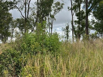 Commercial & Industrial Land