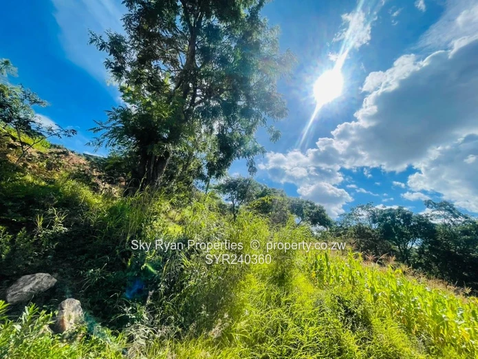 CARRICK CREAGH 2 STANDs FOR SALE