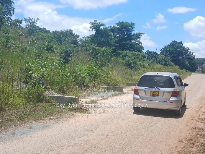 Carrick Creagh Borrowdale Stand For Sale