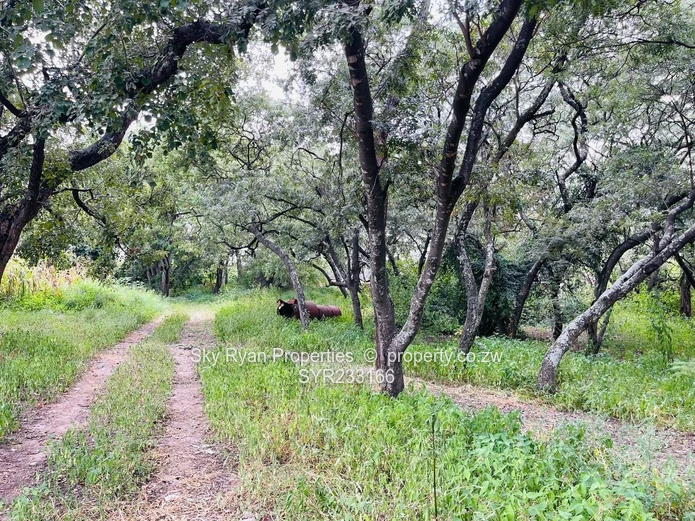 Waterfalls Industrial For Sale 