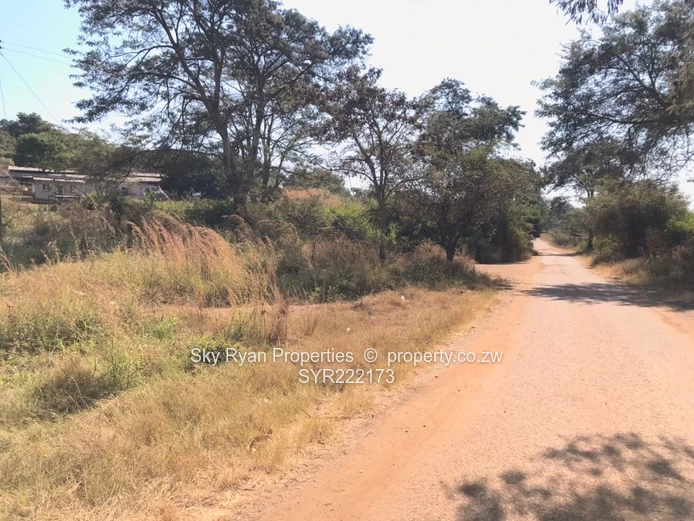 Arcturus plot for sale!*