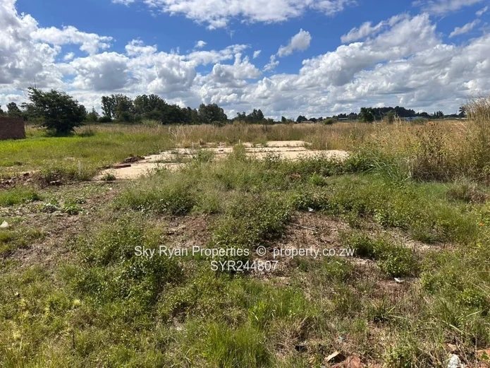 Cold Comfort Stand For Sale