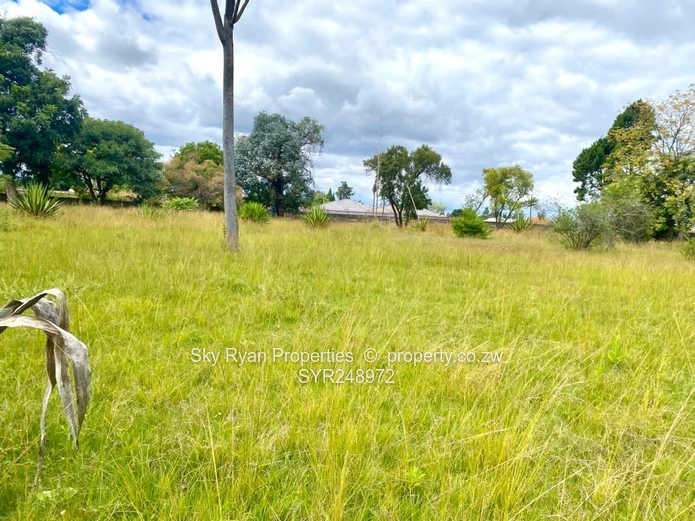 Westgate Good Hope Cluster Stands For Sale