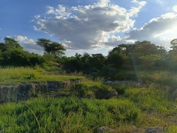 Farm & Agricultural Land