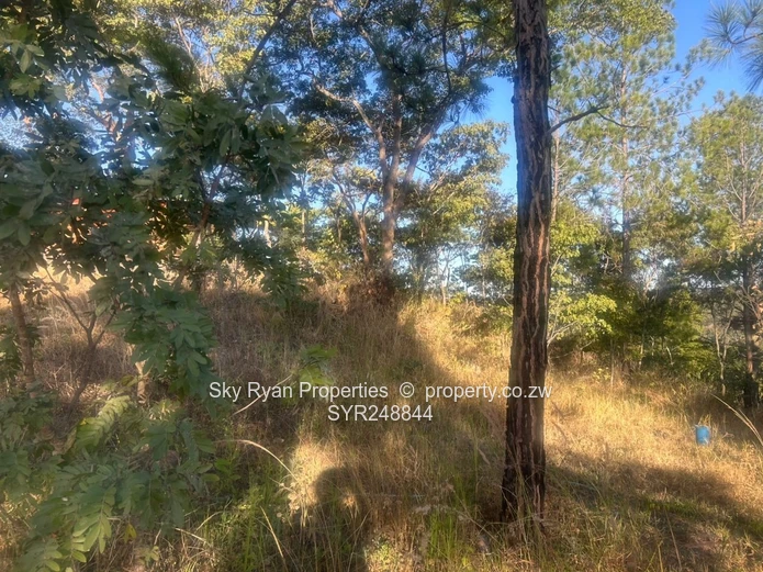 Glen Lorne, Folyjon Crescent Stand For Sale