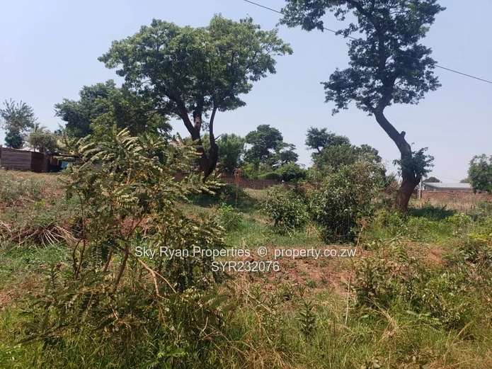 Gletwin Stand For Sale